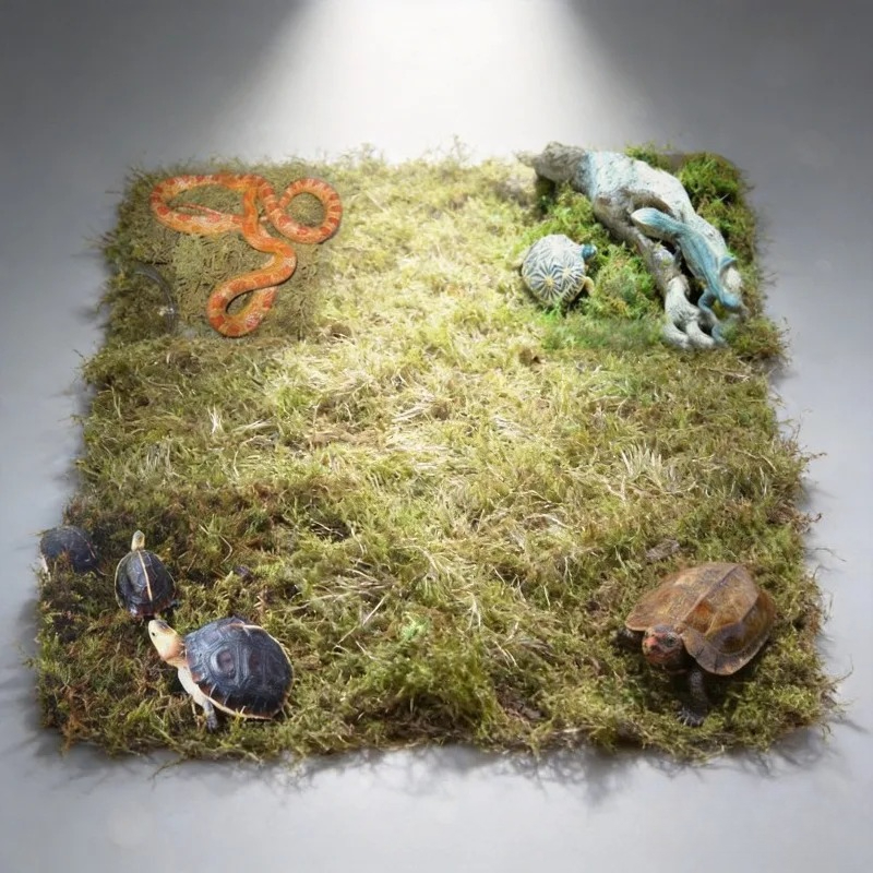 Preserved Moss Sheet - Natuurlijk gedroogd mos voor reptielen terrarium,