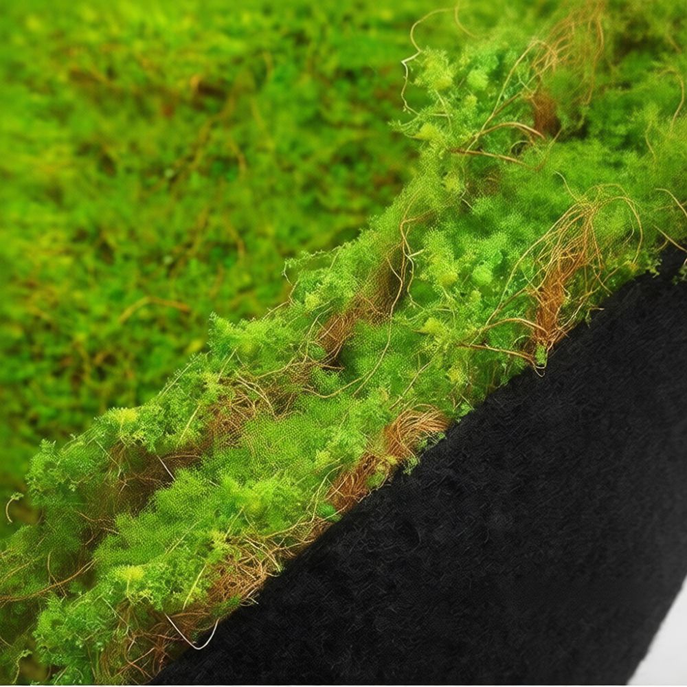 Kunstmatige mosmat, kunstgrasm - Preserved Moss Sheet recensie en prijs