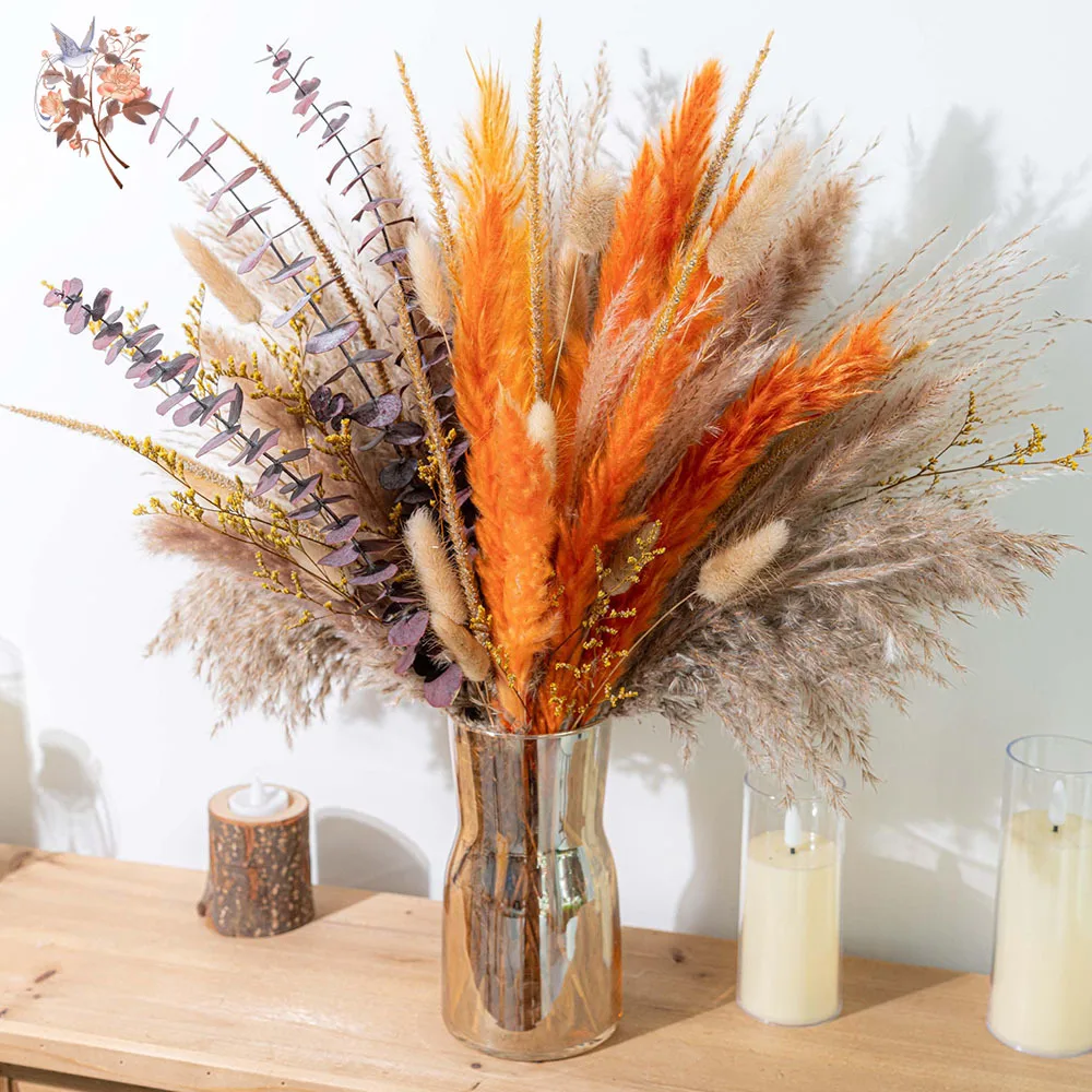 60 stuks oranje pampasgras ged - Eucalyptus Preserved recensie en prijs