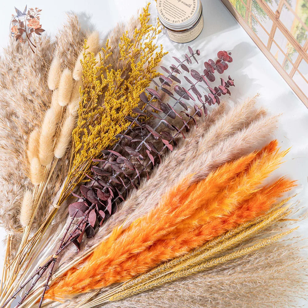 60 stuks oranje pampasgras ged - Eucalyptus Preserved recensie en prijs