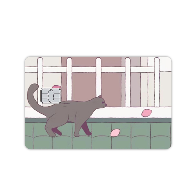 Leuke Sakura Zwarte Kat Schape - Supply Florist recensie en prijs