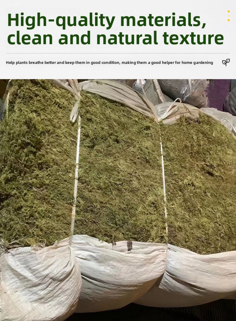 Natuurlijk gedroogd mos voor r - Preserved Moss Sheet recensie en prijs