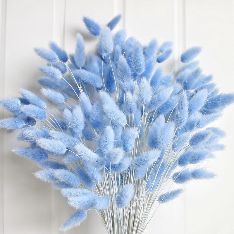 100 STKS Blauw Haas-staart Gra - Florist Supply Vases recensie en prijs