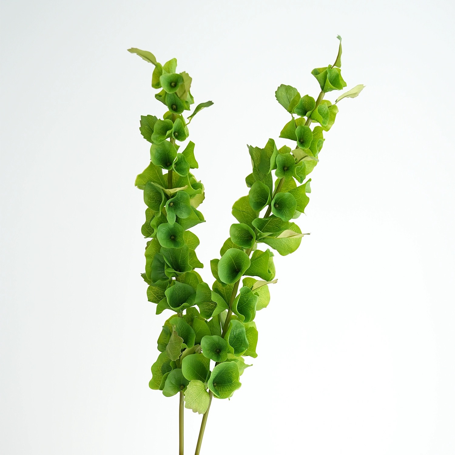 2 stuks groene kunstmatige sch - Florist Supply Bulk recensie en prijs